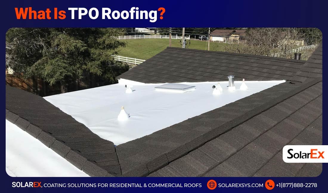 What Is TPO Roofing?