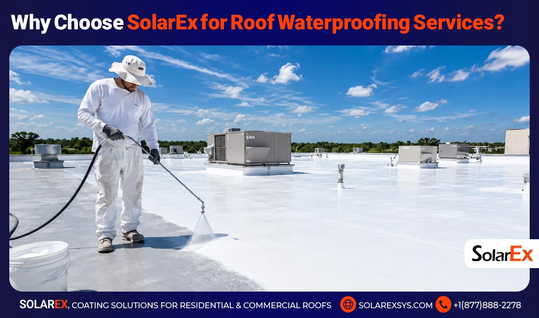 Why Choose SolarEx for Roof Waterproofing Services?
