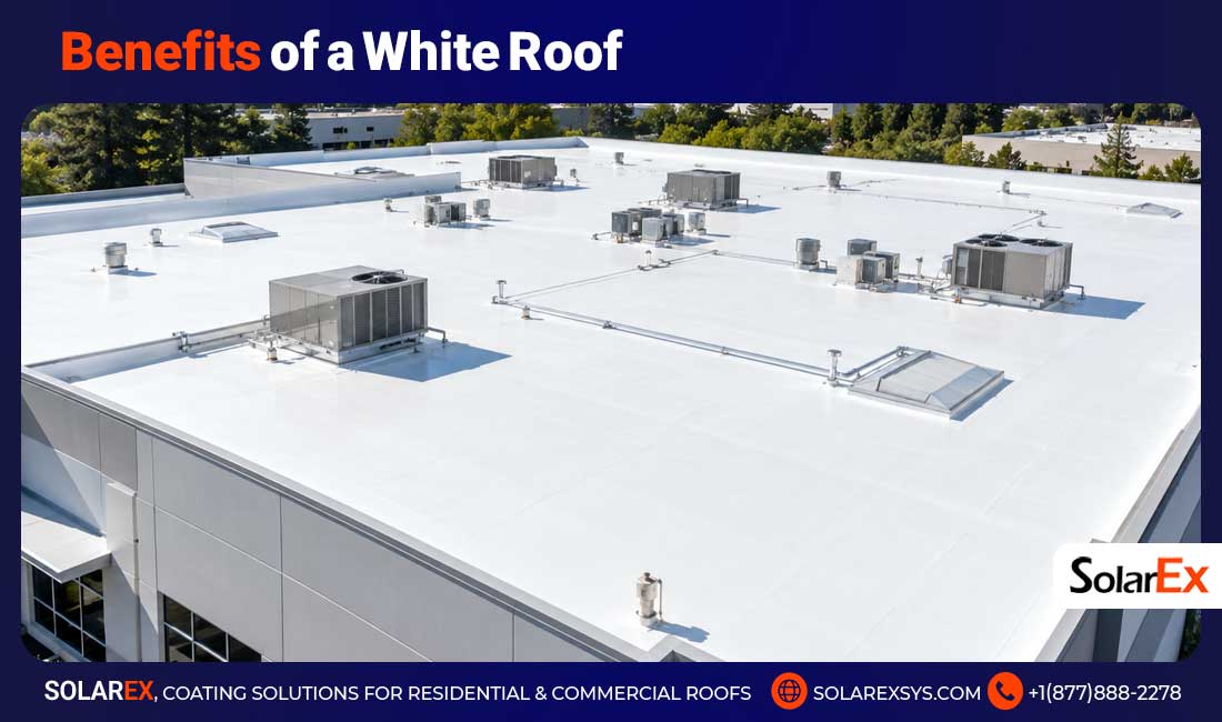Benefits of a White Roof