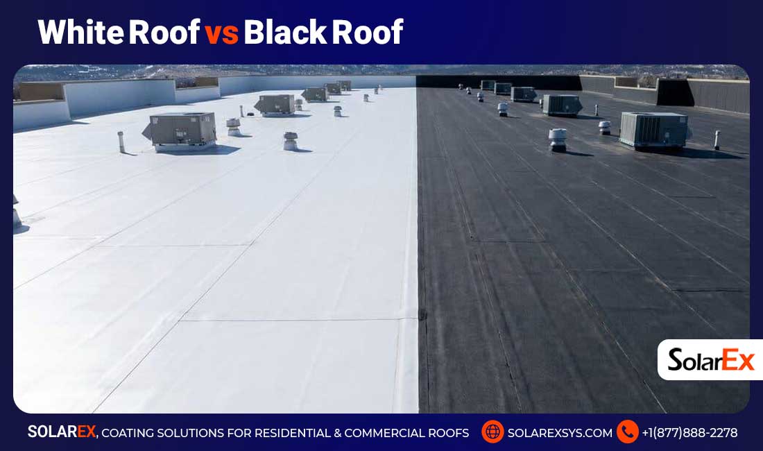 White Roof vs Black Roof